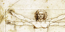 Vitruvian Man by Leonardo da Vinci